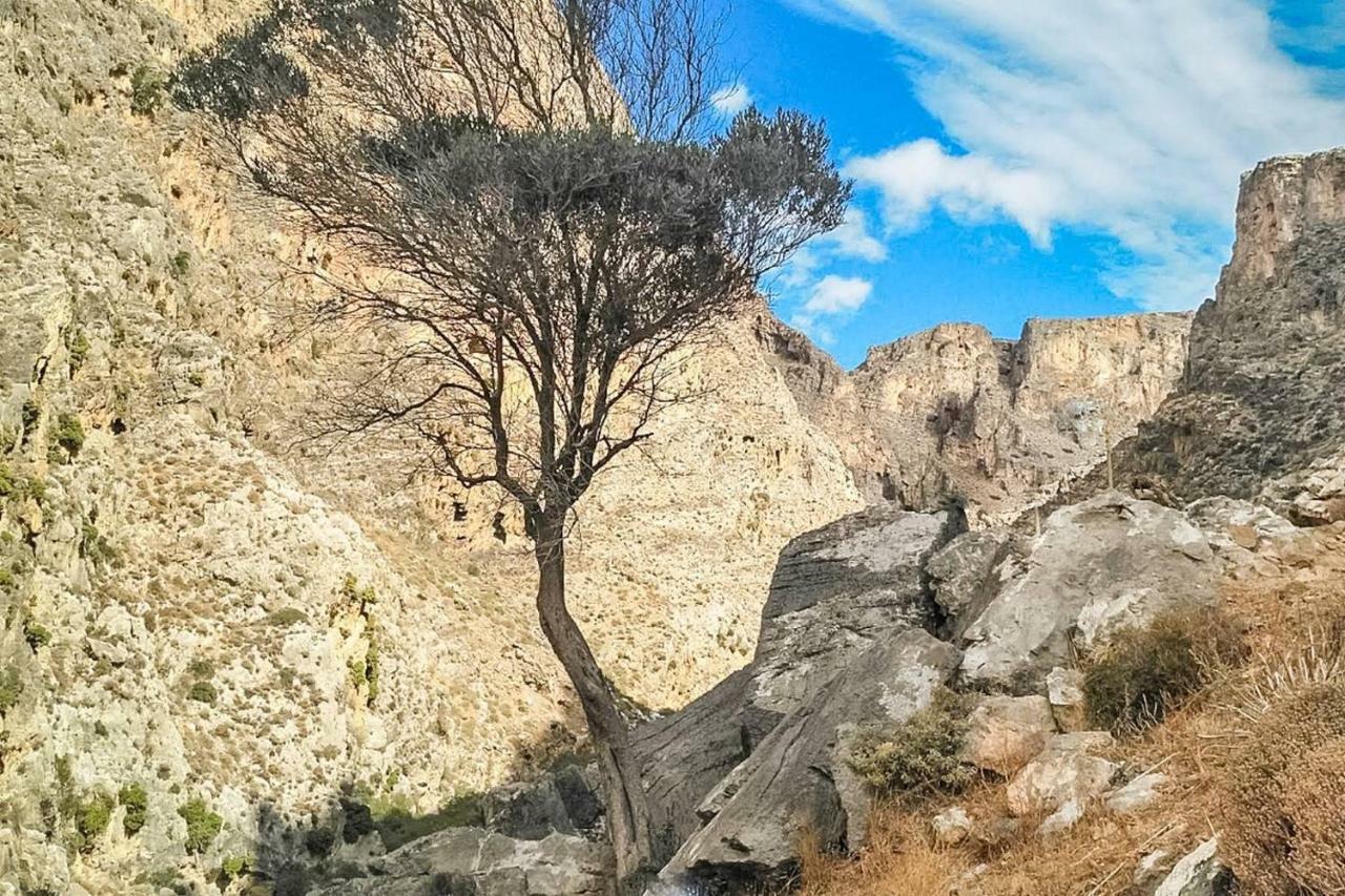 The Rock & The Lemon Tree Βίλα Σητεία Εξωτερικό φωτογραφία